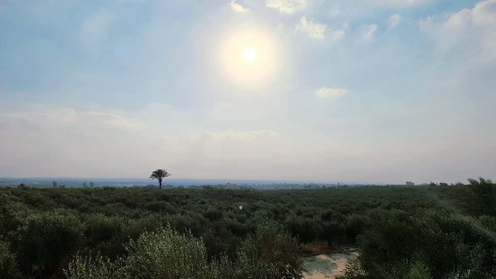 حديقة الدار